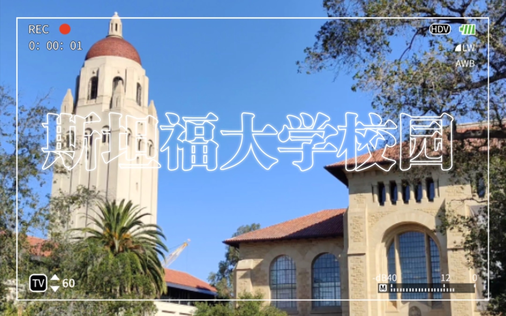 斯坦福大学校园哔哩哔哩bilibili