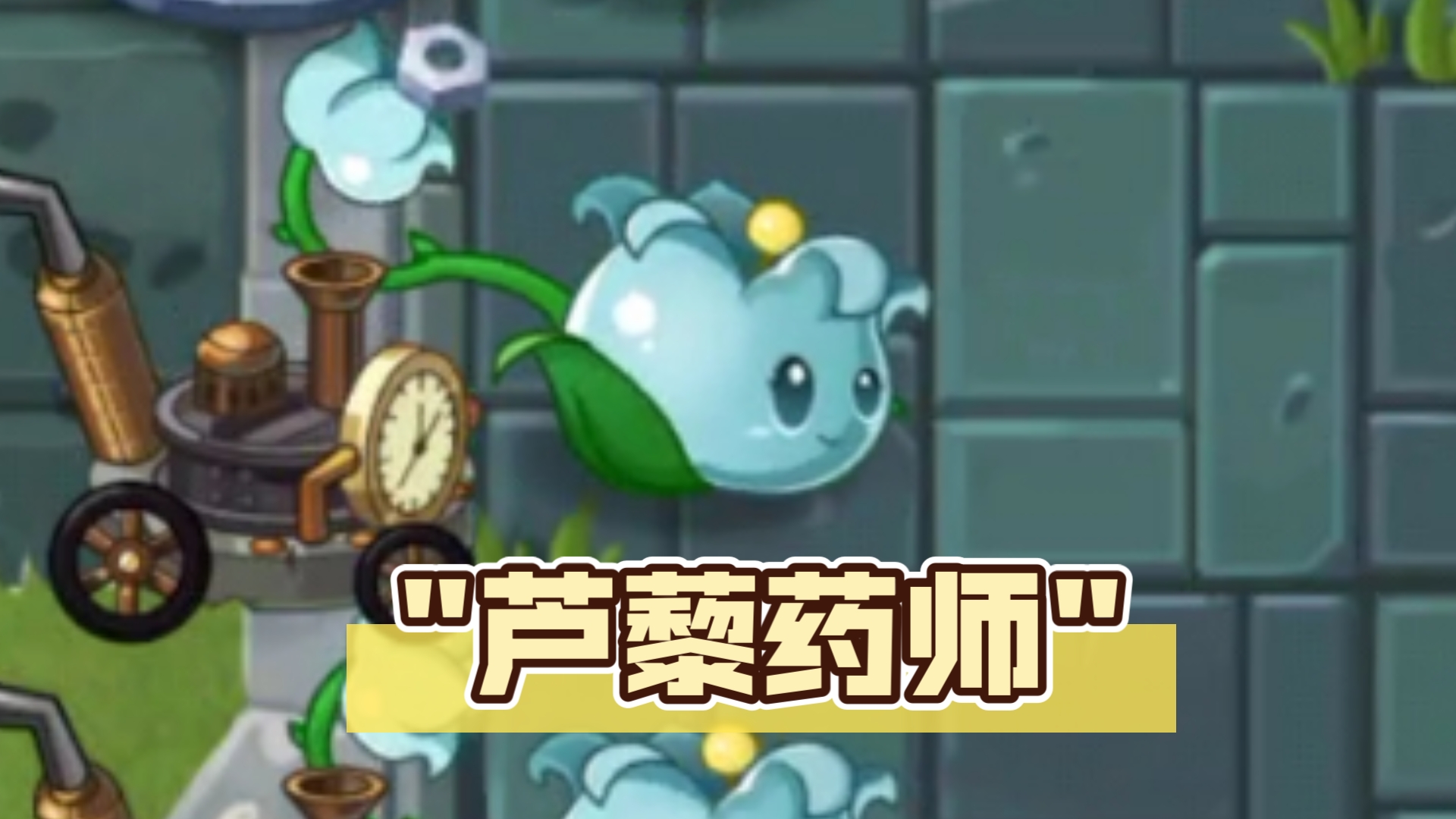 中文版独占植物试玩-芦藜药师