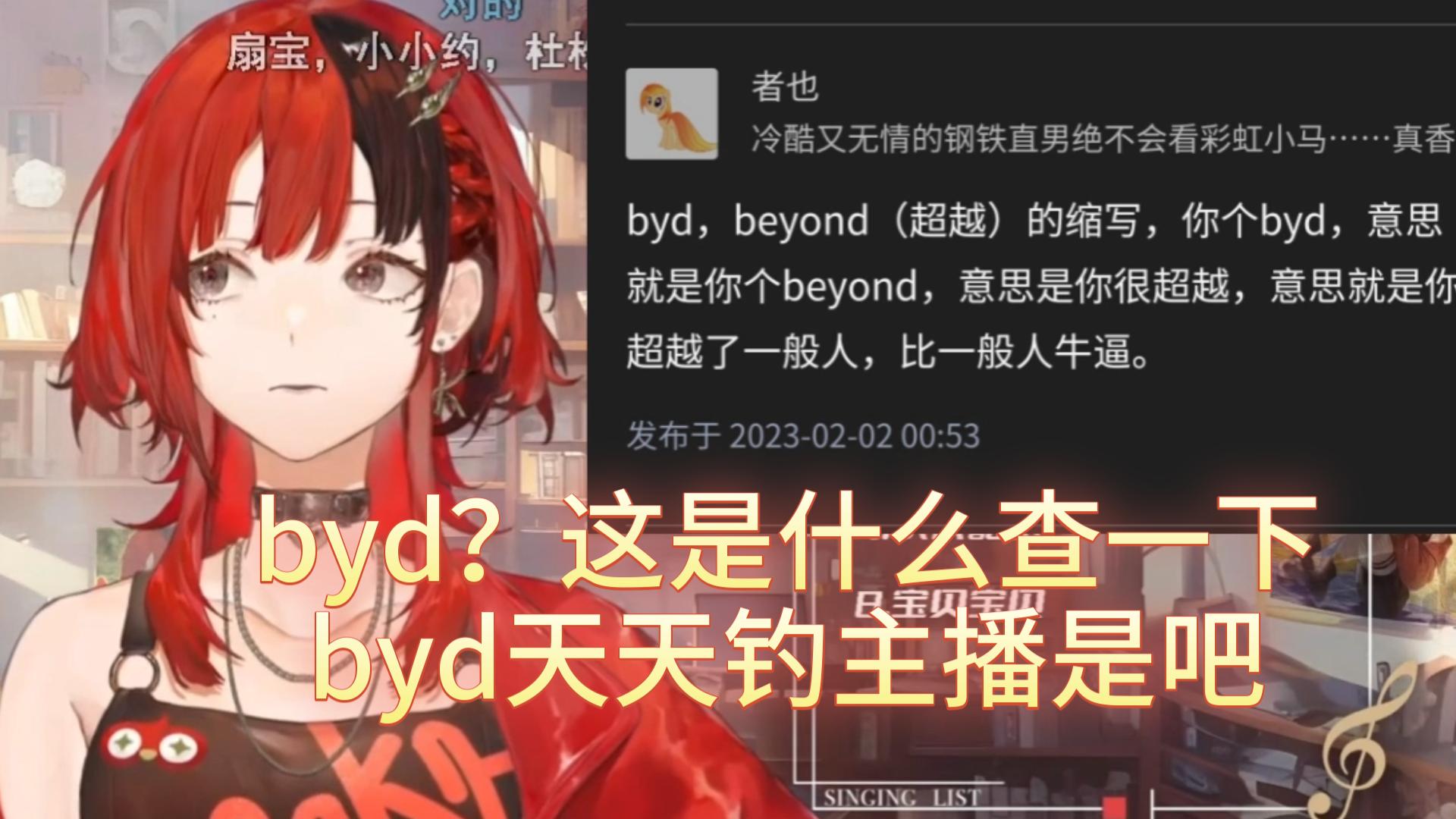 【安可】“byd是什么意思”哔哩哔哩bilibili