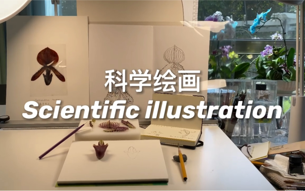 科学绘画  Scientific Illustration哔哩哔哩bilibili