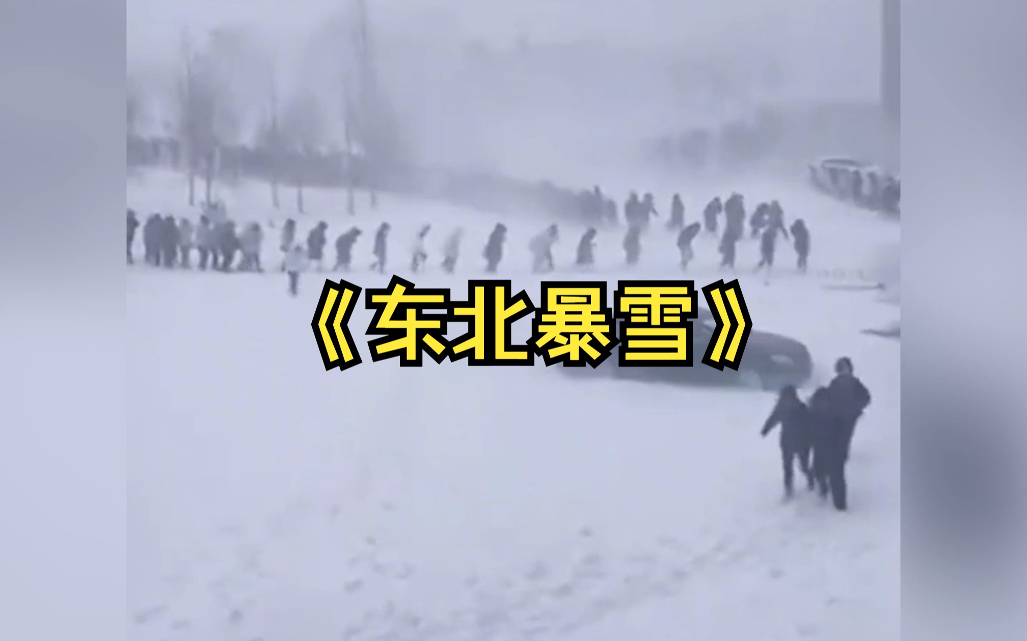 [图]大型纪录片《东北暴雪》震撼来袭！