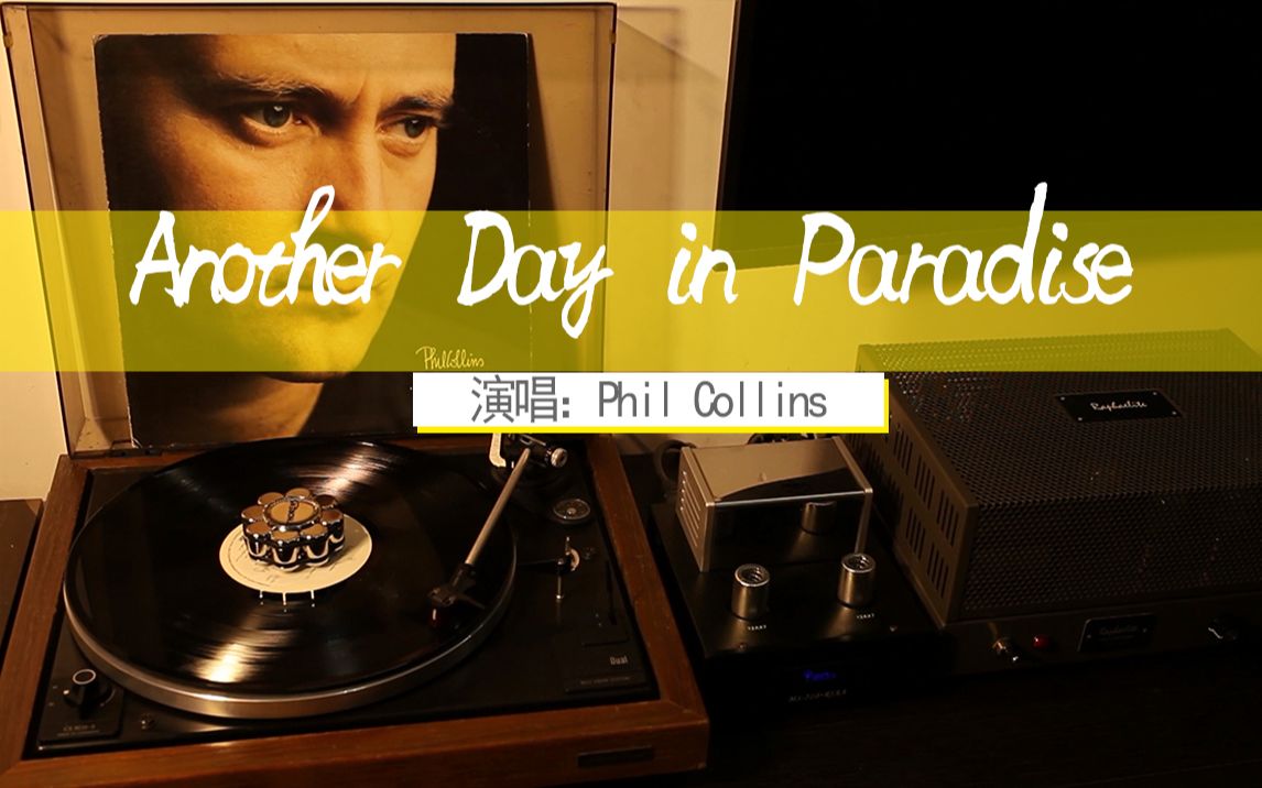 [图]黑胶｜Another Day in Paradise-Phil Collins ©1989