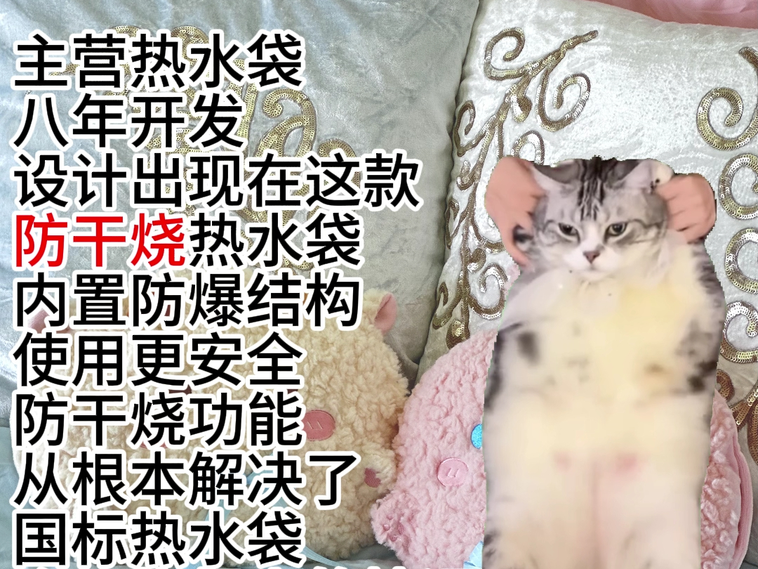 猫meme小剧场~介绍公司哔哩哔哩bilibili