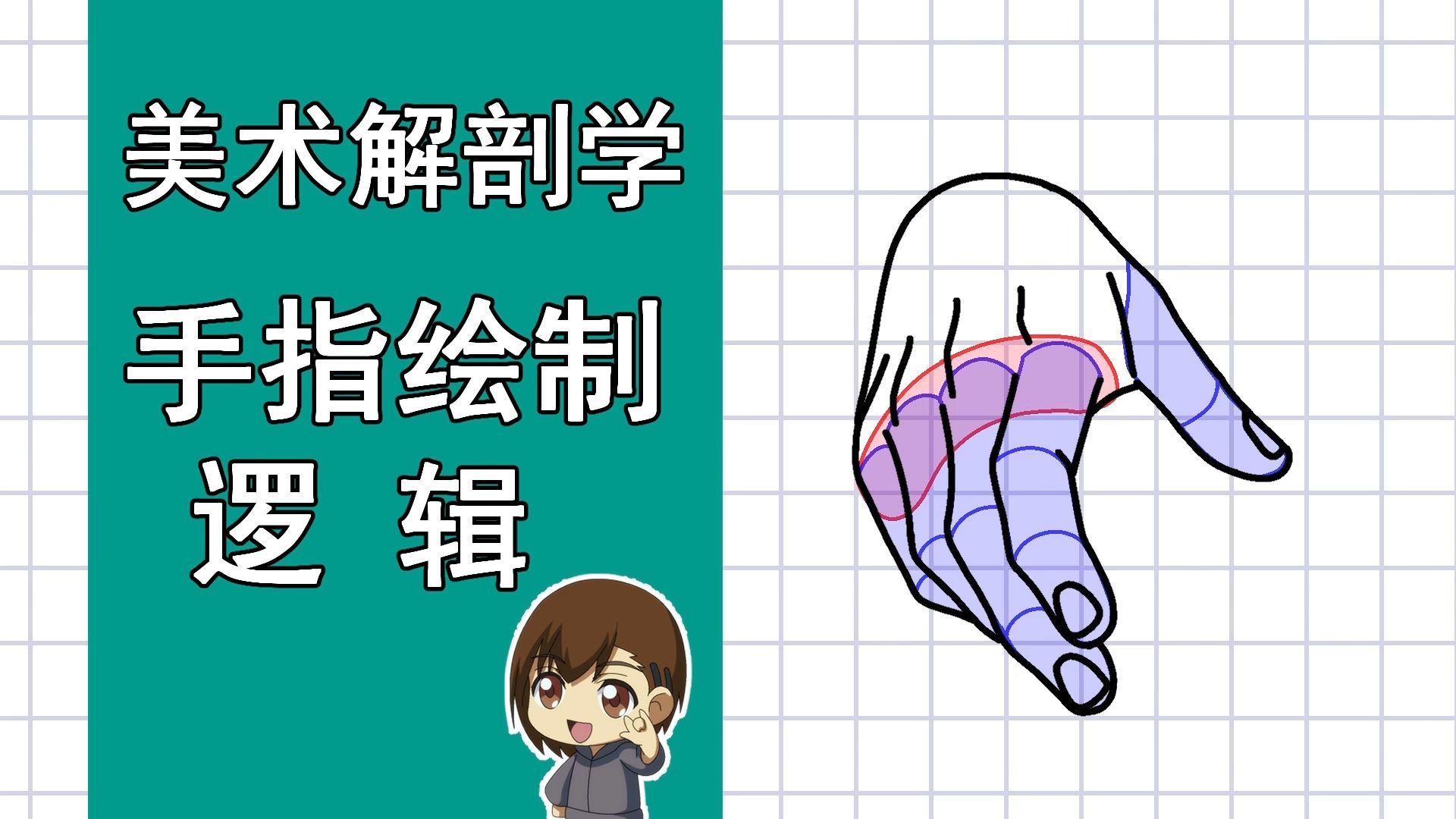美术解剖学-77-手指绘制逻辑