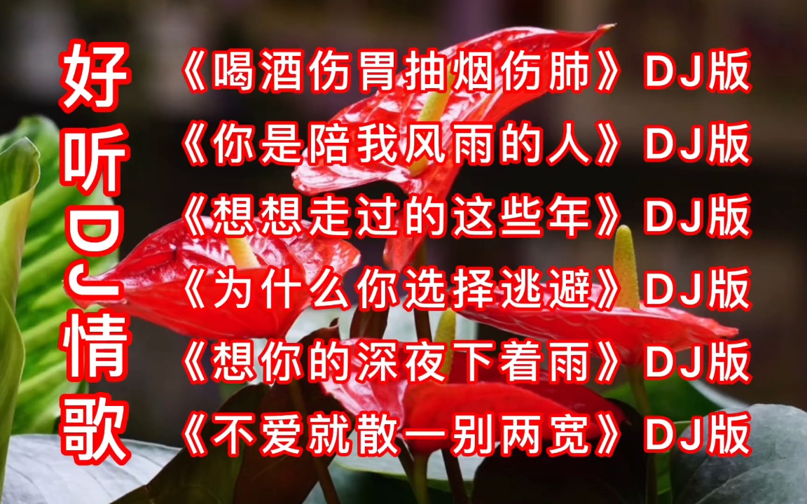 好听dj情歌《喝酒伤胃抽烟伤肺》《你是陪我风雨的人》_哔哩哔哩_bili