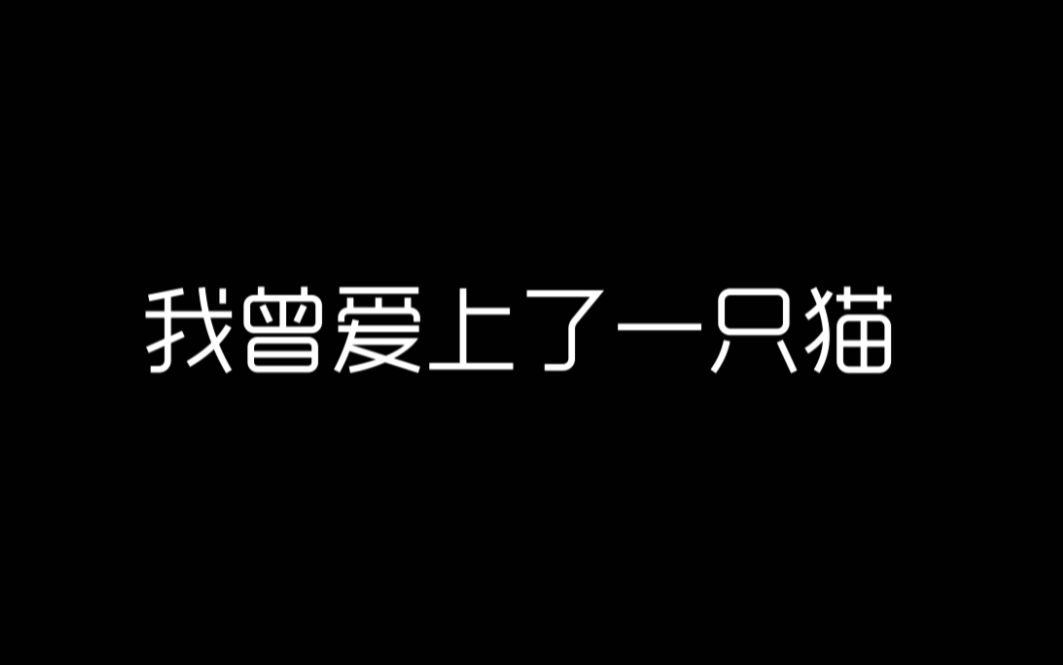 [图]亲爱的姑娘你为何要离开-纯字幕