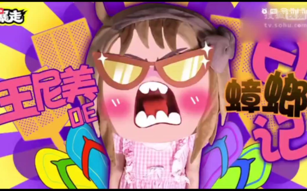 尼美快报第一季 20 ——王尼美的蟑螂日记