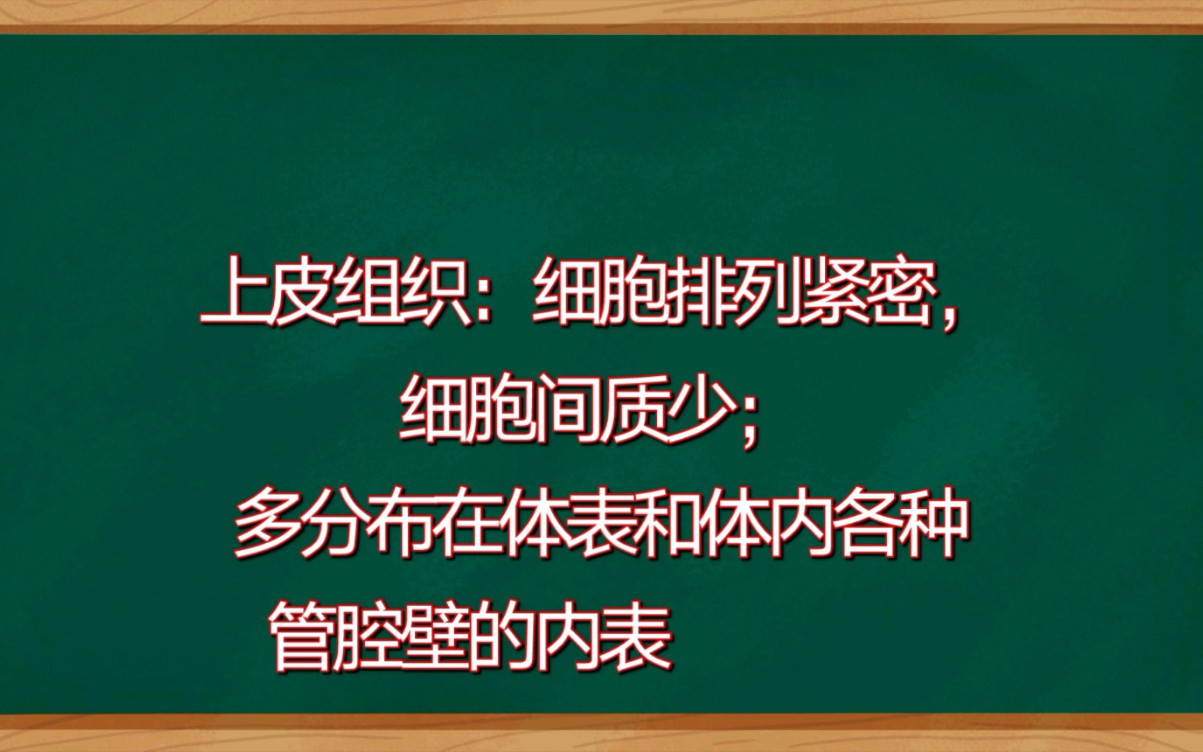 人体的各类组织的名称 结构特点 分布和主要功能哔哩哔哩bilibili