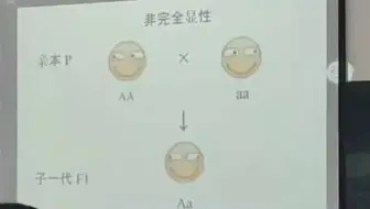 这生物老师太优秀了