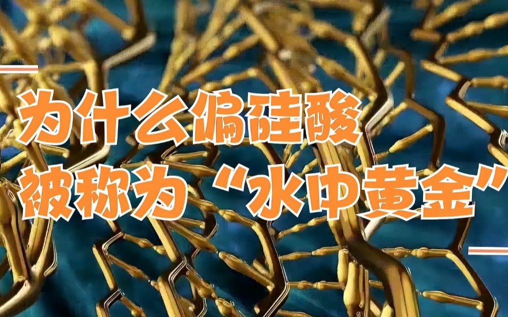 为什么偏硅酸被称为“水中黄金”（二）