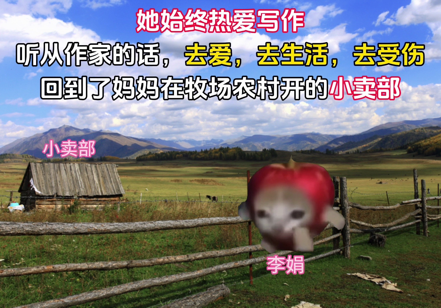 [图]《我的阿勒泰》系列｜用猫meme的方式过李娟的牧场生活