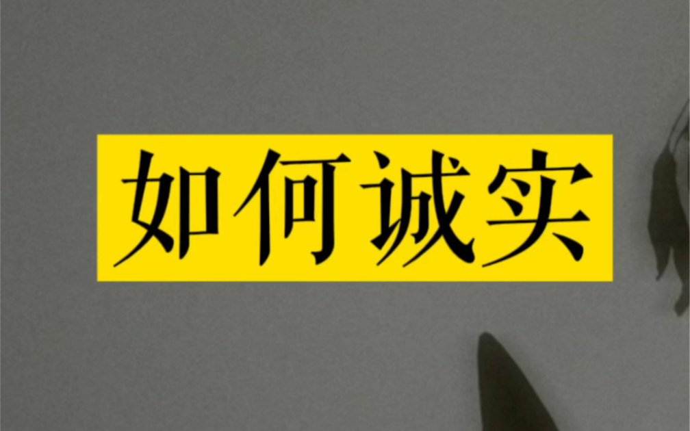 如何诚实,什么是诚实,为什么要诚实?哔哩哔哩bilibili