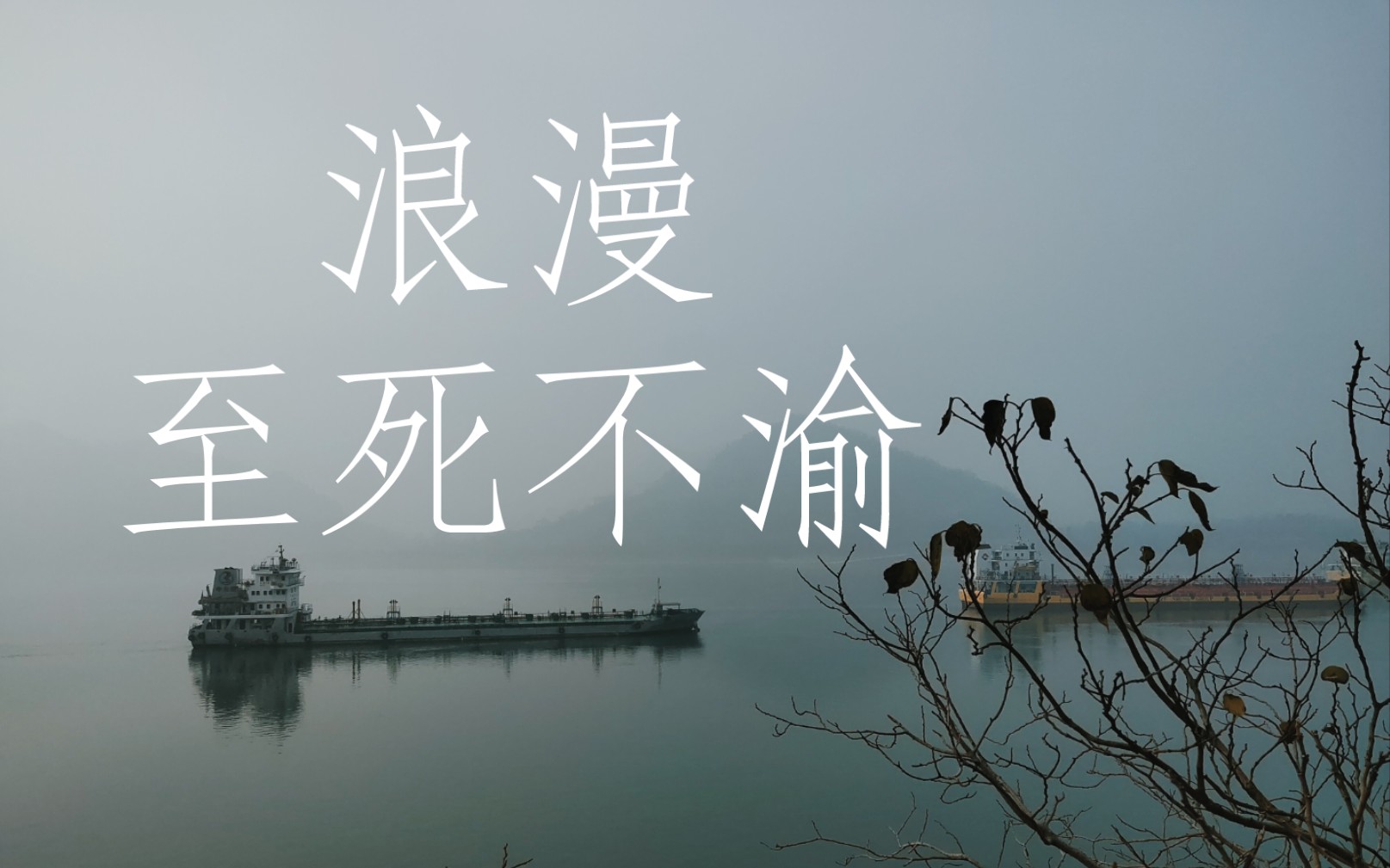 "理想平等交易,同喧嚣保持距离"