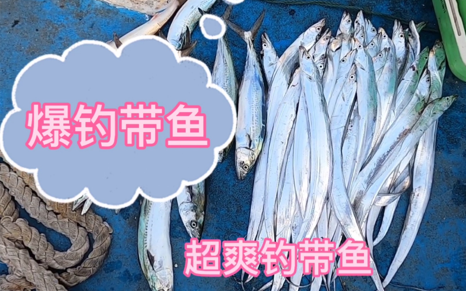 出海釣魚爆釣帶魚刀魚鮁魚馬鮫魚超爽海釣船釣