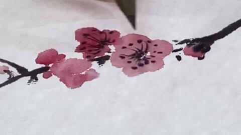 水墨画 梅花画法 一 哔哩哔哩