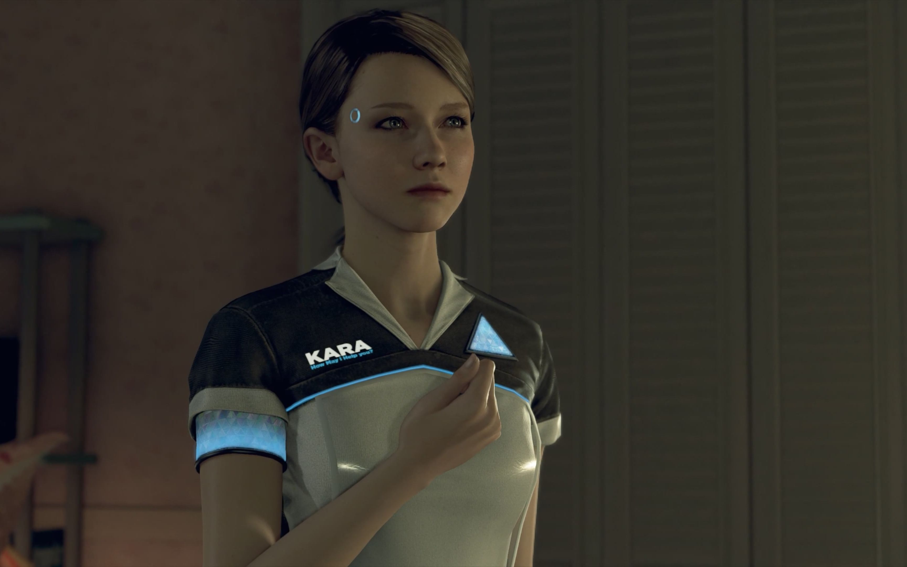 [4k] detroit: become human 简中一周目 新家(kara)章节