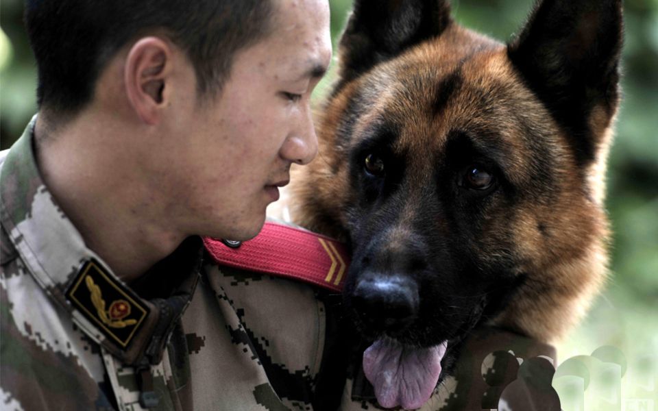 【军犬】驻港部队军犬战林又来啦!
