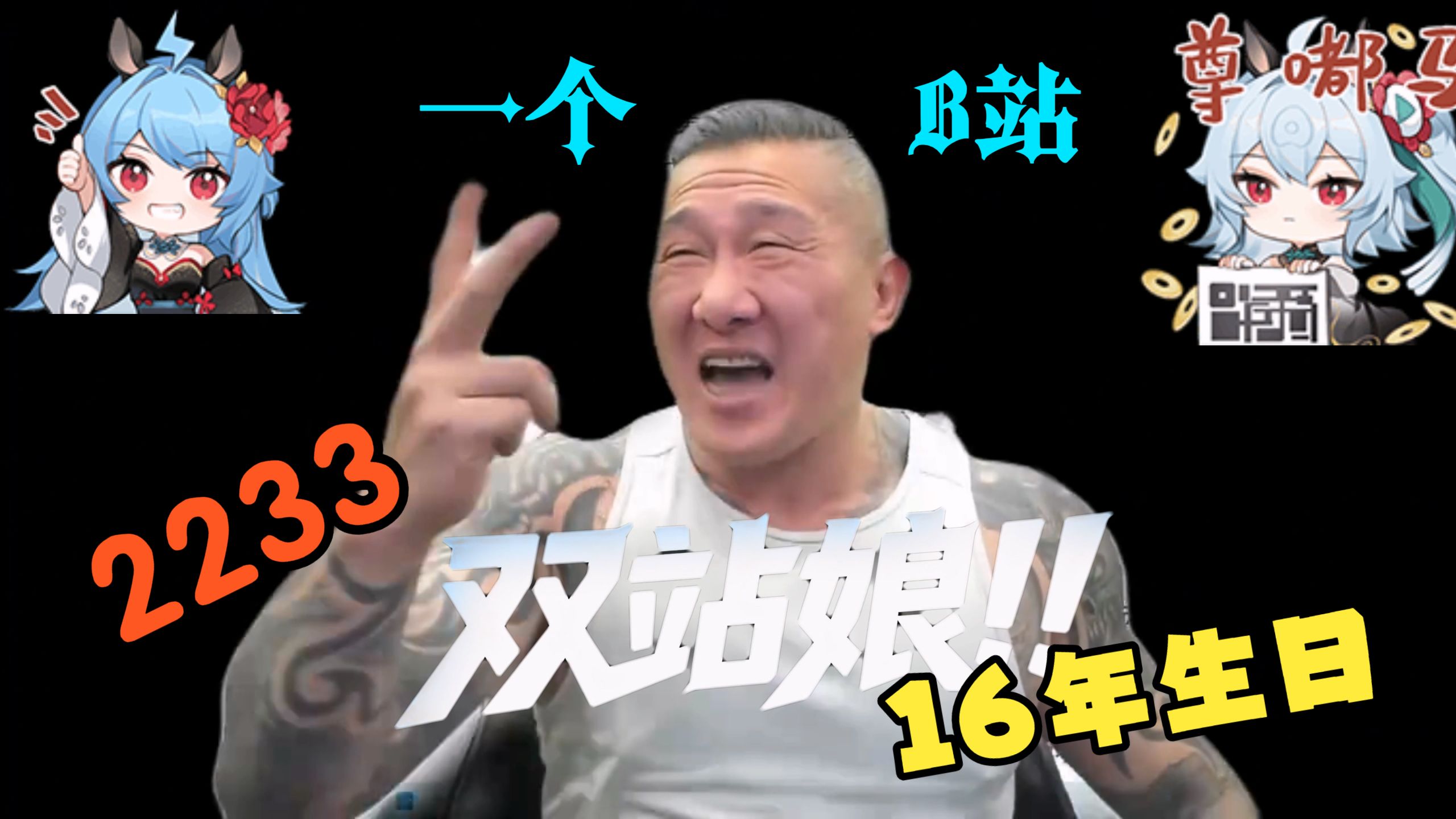 我和2233的故事分享与你【2233生贺】