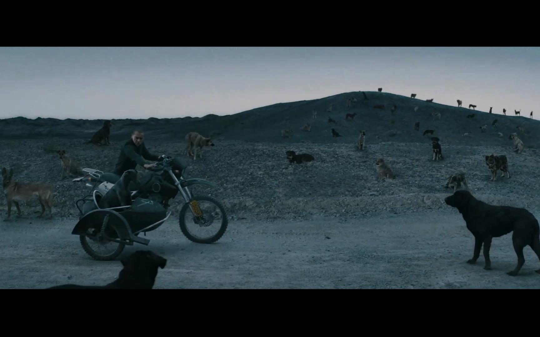 【狗阵】因为这个"战狼式穿行"的片段而看了整部电影