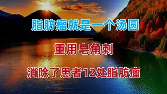 Download Video: 脂肪瘤就是一个汤圆，重用皂角刺，消除12处脂肪瘤