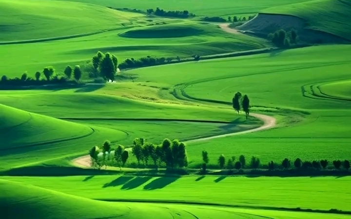 一望无垠的大草原,去除满心的不平.
