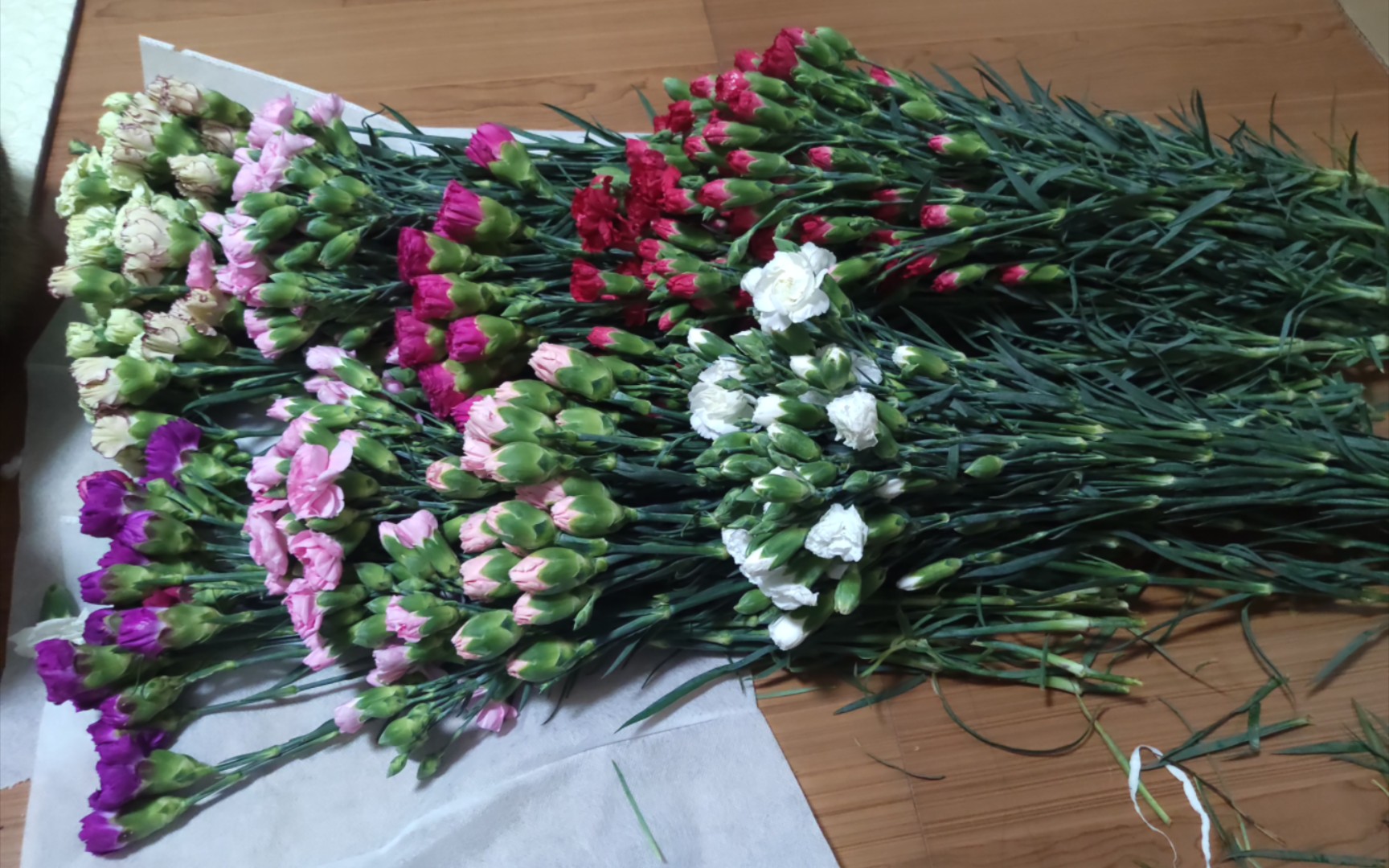 阿龙鲜花2——混色康乃馨(要远离猫猫)