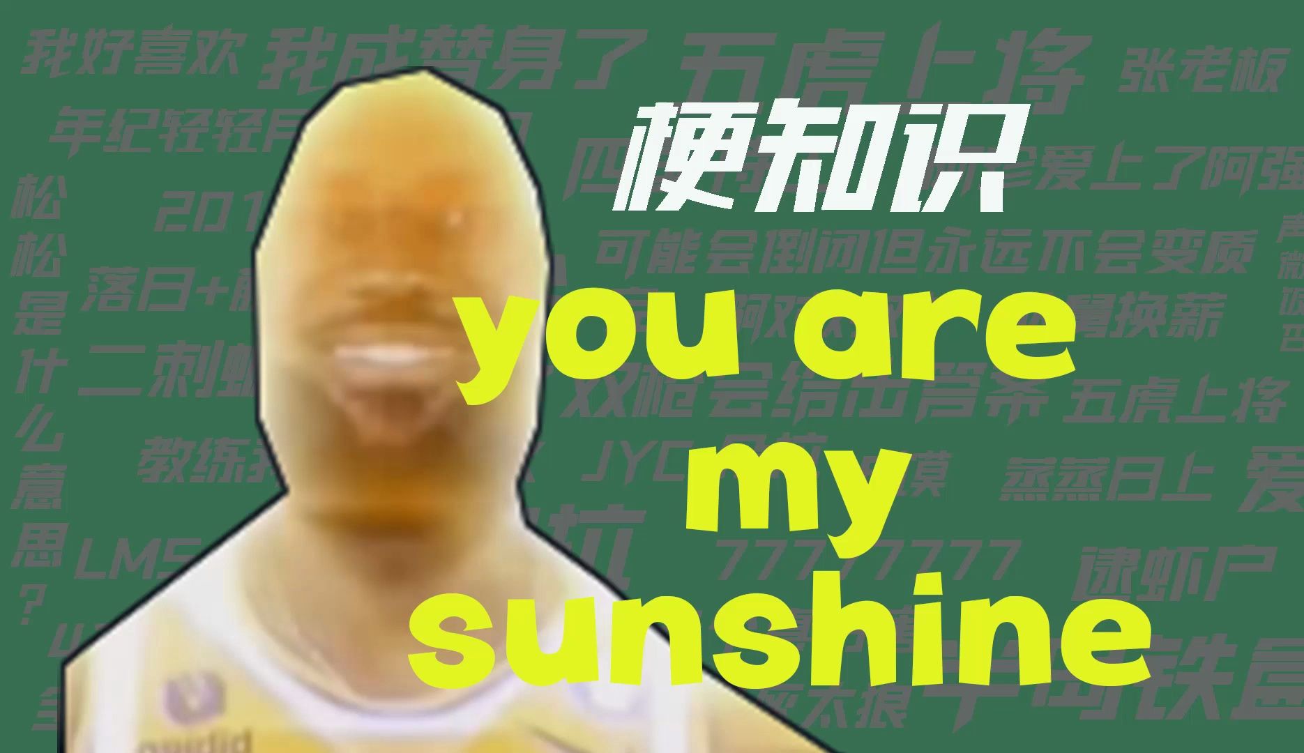 【梗知识】you are my sunshine哔哩哔哩bilibili