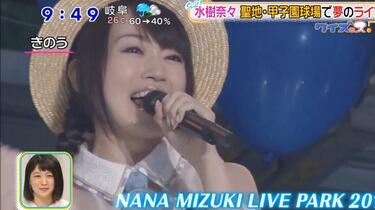 水樹奈々　2016年LIVE PARK　スタジアムジャンパー　スタジャン 水樹奈々 2016 LIVE PARK スタジアムジャンパー スタジャン 水樹