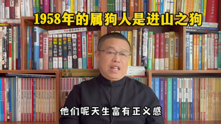 十二生肖运势详解:1958年出生的属狗人怎么样?1958年的属狗人是进山之狗哔哩哔哩bilibili