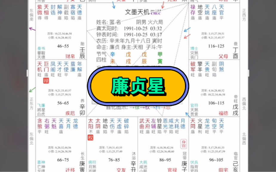 026集廉贞星详解#紫微斗数哔哩哔哩bilibili