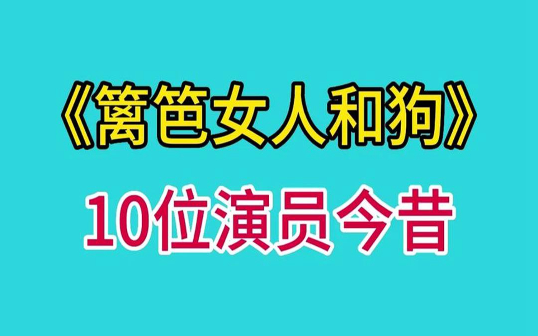 篱笆女人狗电视演员表图片