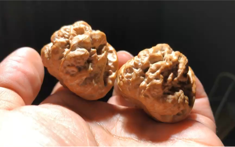 2×40极品金蟾延庆蛤蟆头高度30,大开背大肥腿蟾型特别好,kanhetao,我