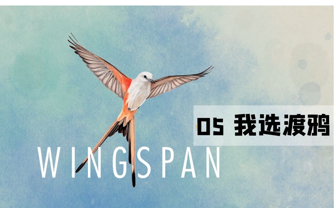 【展翅翱翔】我选渡鸦