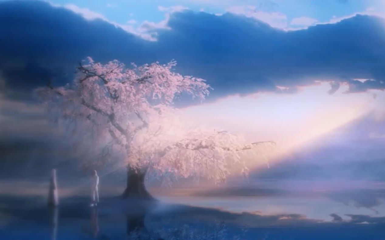 马天宇幻城樱空释自由之灵