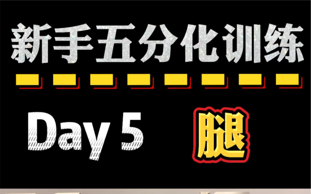 【新手五分化训练*腿】𐟓㨶…详细讲解𐟓㥓”哩哔哩bilibili