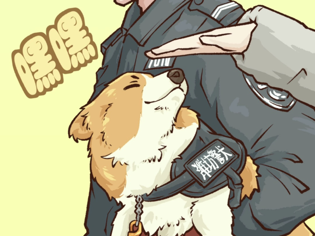 柯基警犬巡逻享受特殊待遇腿太短老掉队