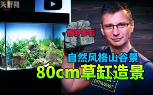 Tải video: 自然风格山谷景 80cm草缸造景 无限用草？