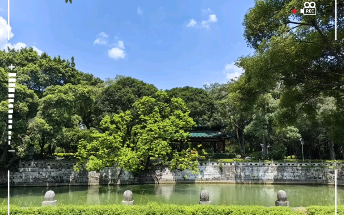 20230709下午广西柳州市城中区柳侯公园