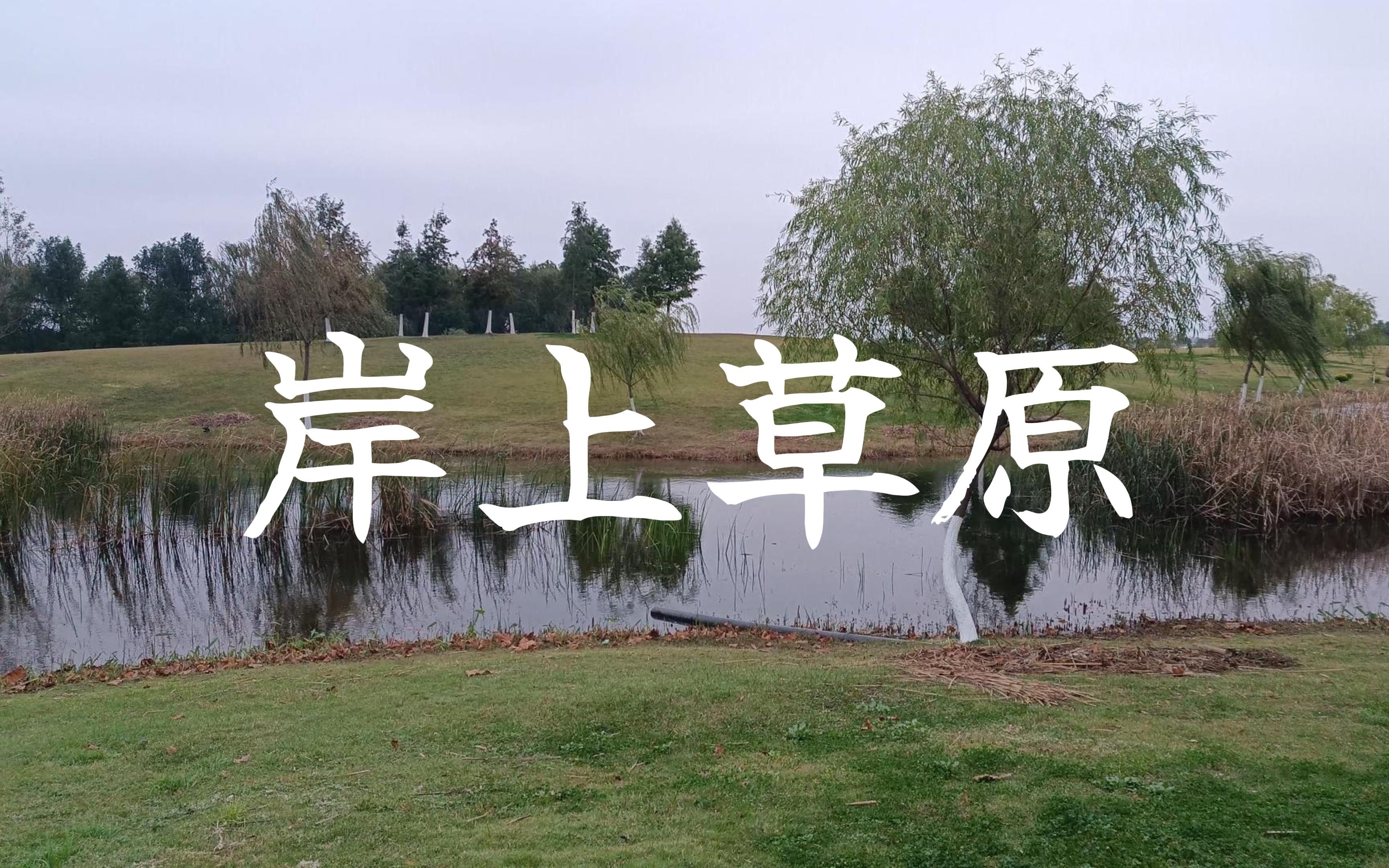 合肥岸上草原-适合露营的休闲去处