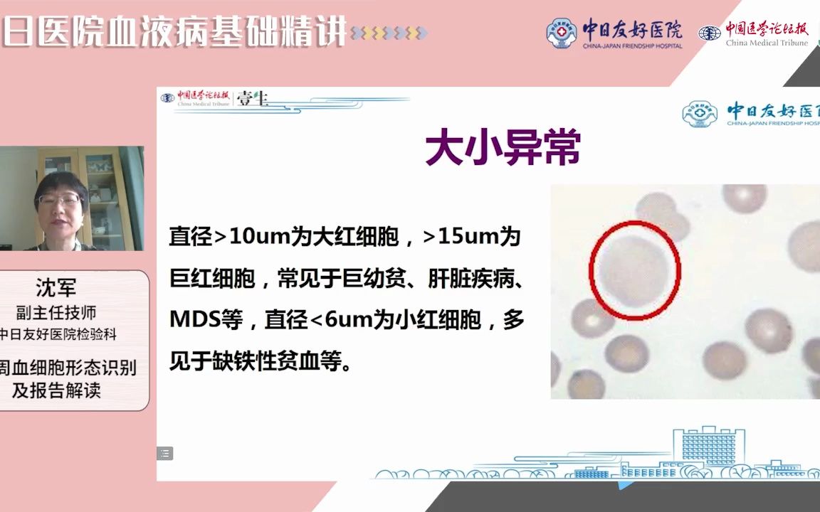 [图]沈军：外周血细胞形态识别及报告解读 _ 中日医院血液病基础精讲