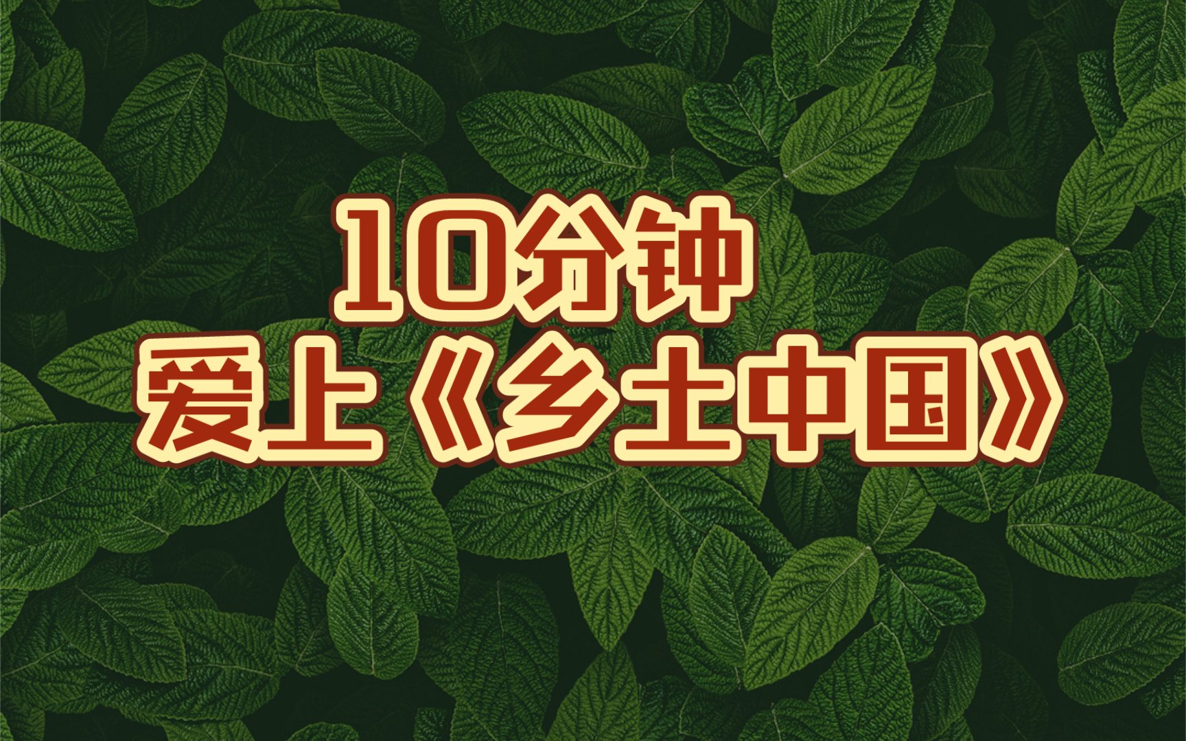 10分钟爱上《乡土中国》哔哩哔哩bilibili