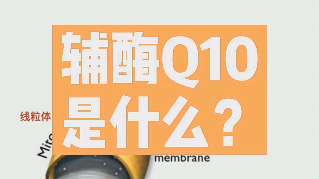 【科普】你知道辅酶Q10到底是什么吗?HomeTest丁妈家庭实验室哔哩哔哩bilibili