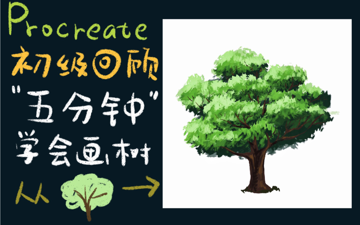 procreate原创保姆级超详细解说版绘画教程画一棵树小白必备初级班