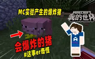 Video herunterladen: 我的世界：玩家在MC实验，不料制造出了会爆炸的猪！