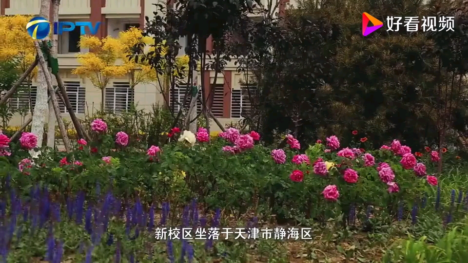 天津中医药大学宣传片哔哩哔哩bilibili