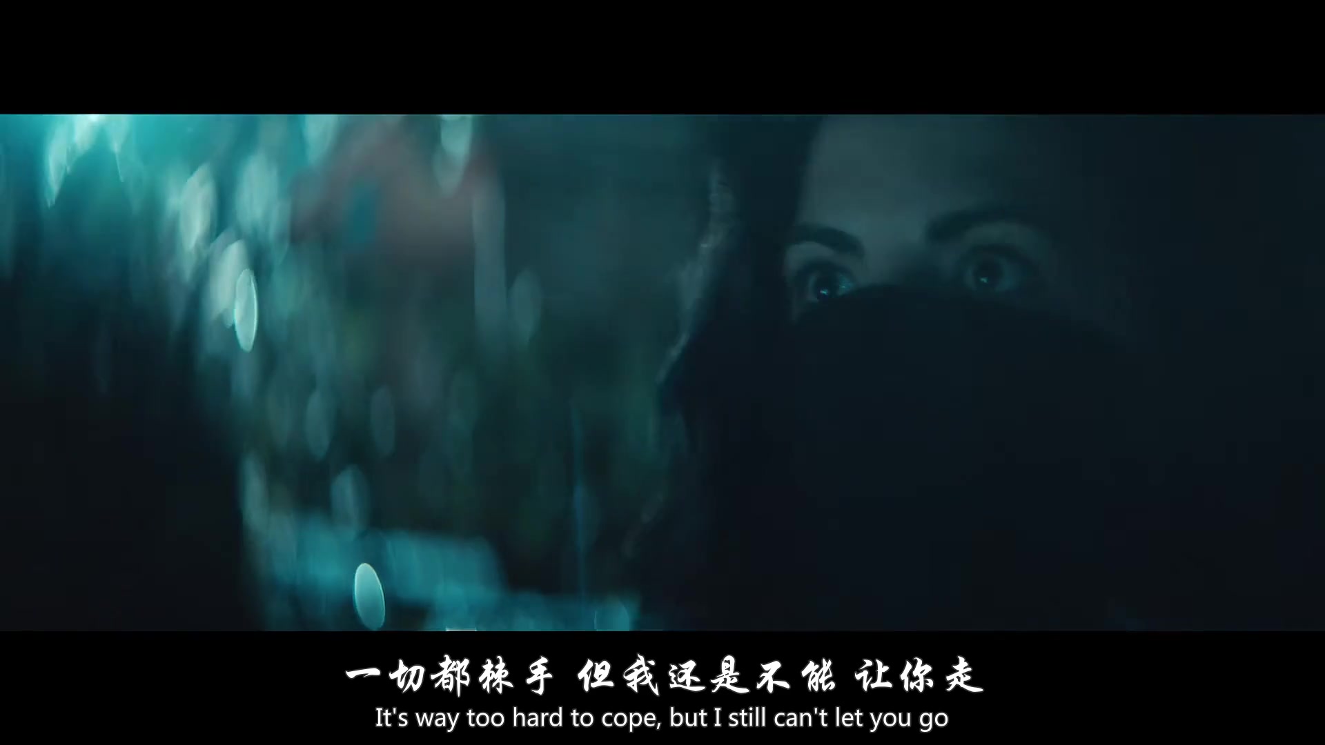 [图]Alan Walker - All Falls Down (feat. Noah Cyrus with Digital Farm Animals) 中英字幕