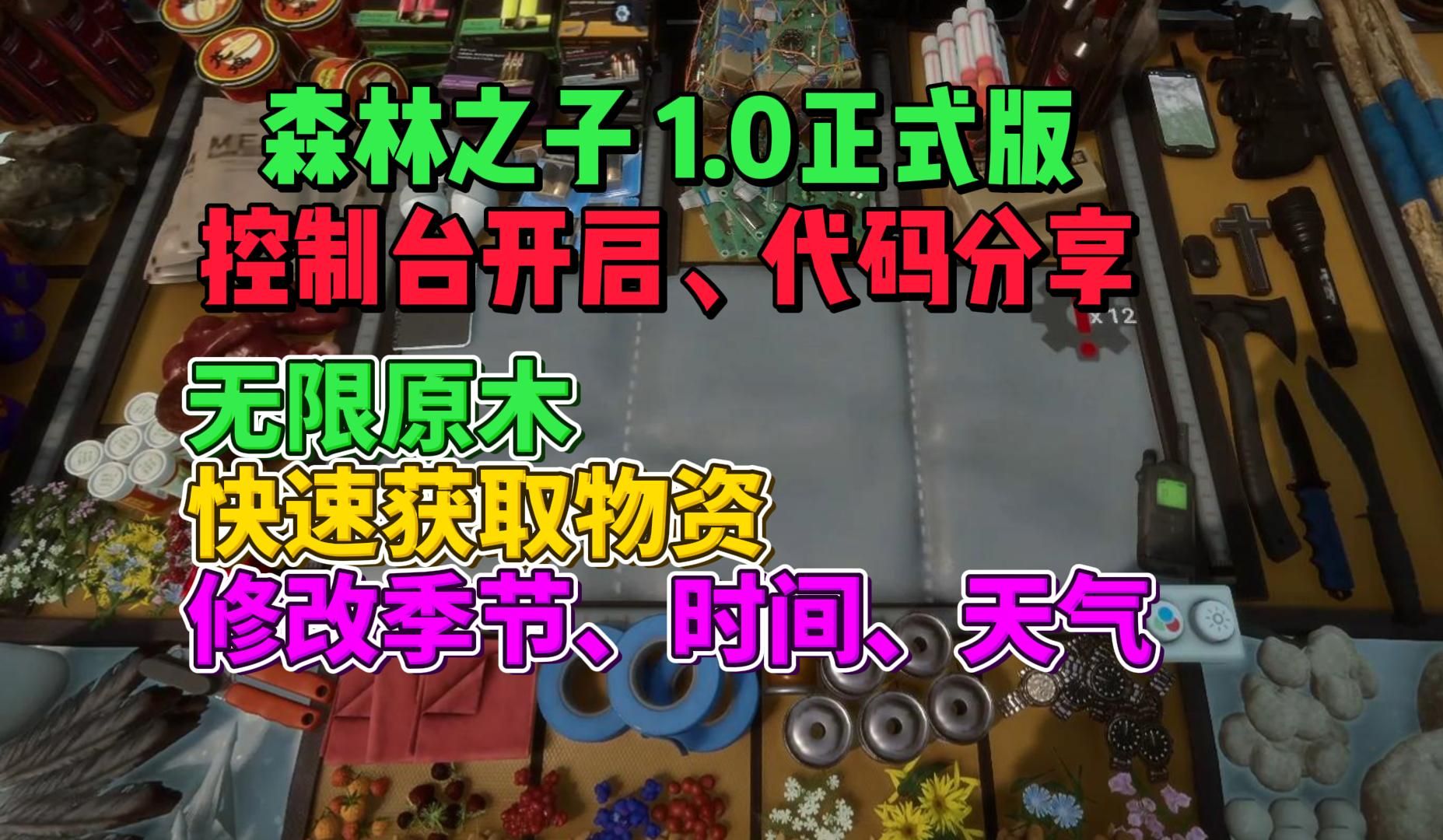 【森林之子1.0正式版】控制台开启、代码使用,无限原木、无限物资等作弊码分享