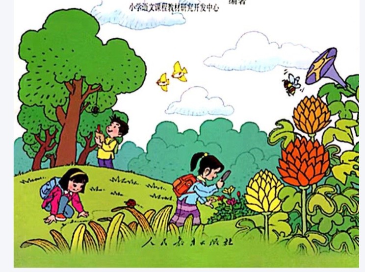 【怀旧】三年级课文阅读-金色的草地