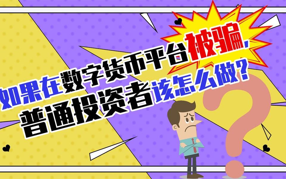 如果在数字货币平台被骗,普通投资者该怎么做?哔哩哔哩bilibili