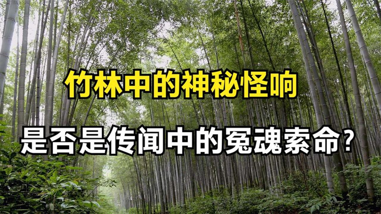 [图]竹林中的神秘怪响，是否是传闻中的冤魂索命？真相让人无法言语